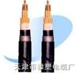 RVZ與RVZ電力電纜 規(guī)格、特點(diǎn)與應(yīng)用全解析